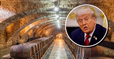 Cła Trumpa uderzą w produkcję win. Przygotowują się na trudny rok