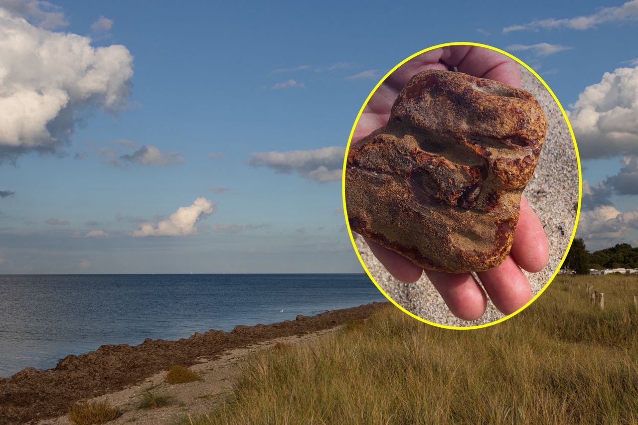 Unexpected treasure: German beachcomber finds rare 7-ounce amber