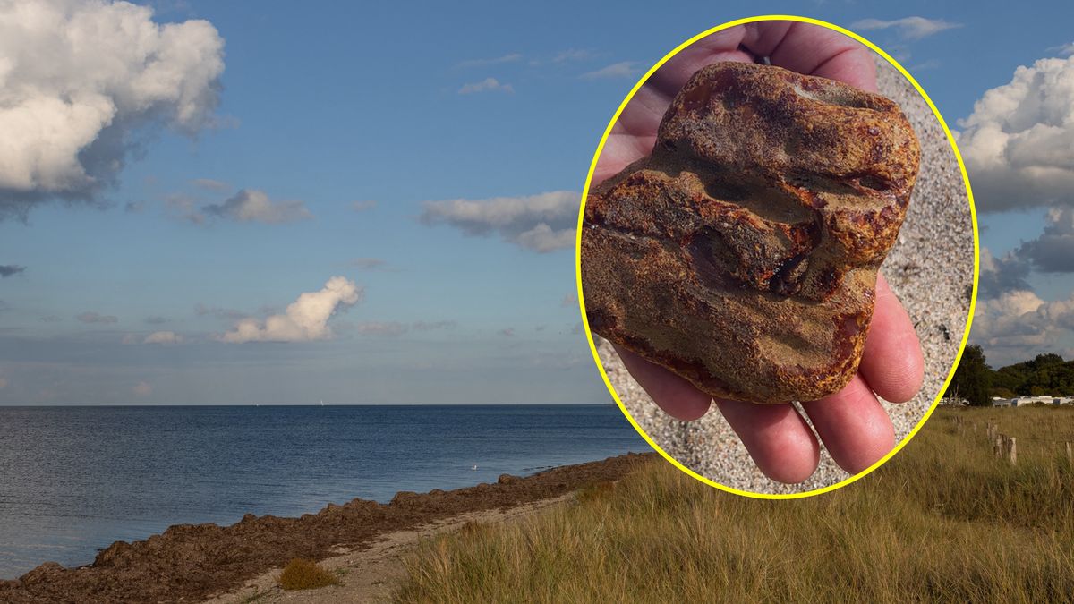 Znaleziony bursztyn waży 190 g.