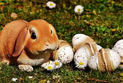 Śmieszne życzenia wielkanocne. Wyślij bliskim i popraw im humor