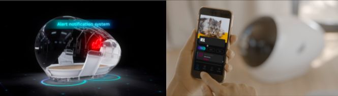 Space Kotty – kuweta z aplikacją, którą pomógł stworzyć Filip "NEO" Kubski 2