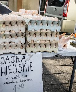 Tureckie i ukraińskie jaja kuszą niskimi cenami. Podbiją polski rynek?