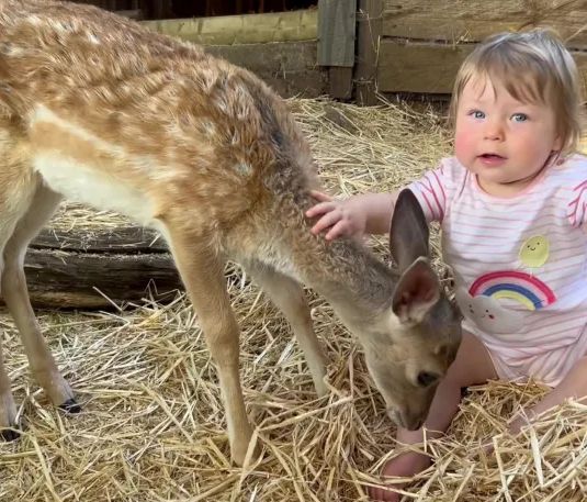 Dziewczynka uwielbia swojego nowego przyjaciela