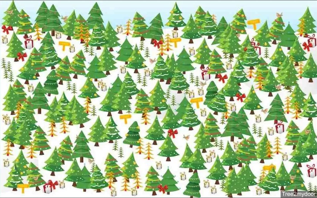 Znajdź gwiazdę na obrazku