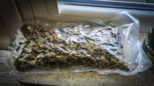 Pół kilograma narkotyków. Policja z Piły zatrzymała 3 osoby
