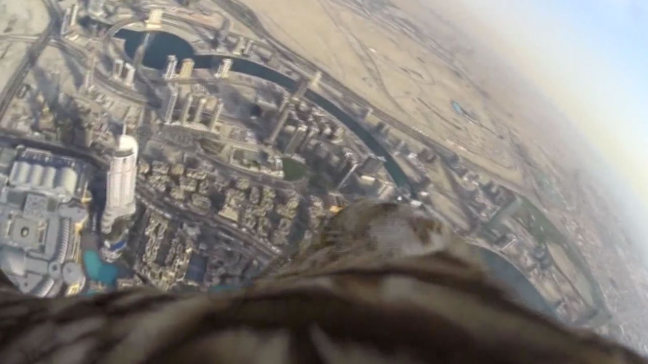 Film, który pokazuje lot orła w dół z najwyższego budynku świata