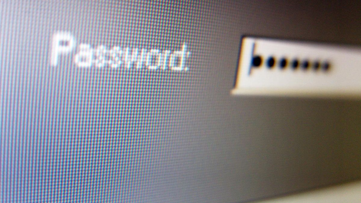Password entryPassword entry screen on computer screen.Richard Newstead