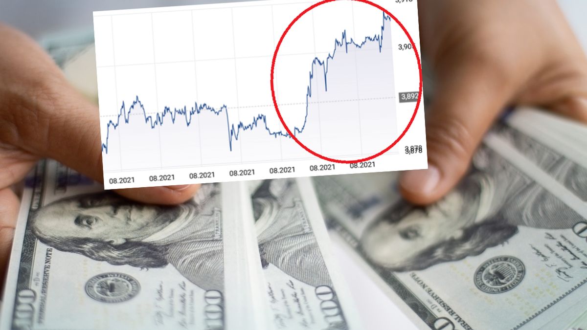 Kursy walut. Co z dolarem?