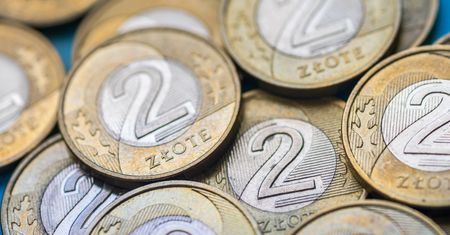 Ta moneta 2 zł jest warta krocie. Sprawdź, czy masz ją w portfelu