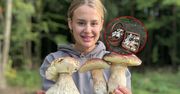 Nie posłuchała innego grzybiarza. "Dwa pełne kosze" borowików