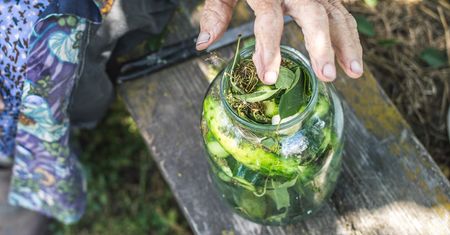 Metoda "3 razy 3". Ogórki wyjdą jędrne i chrupiące