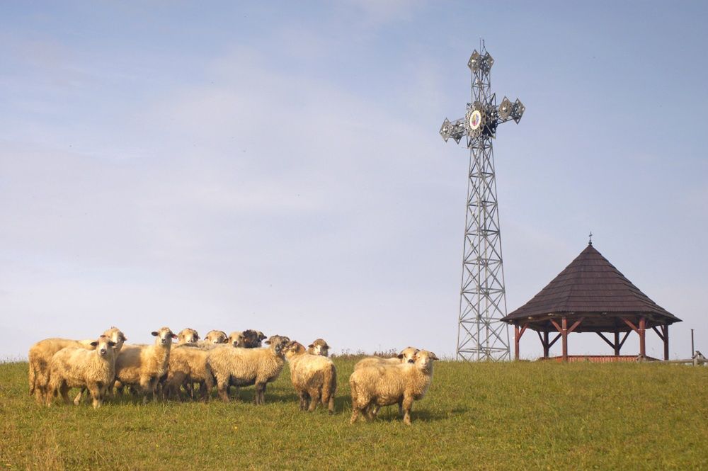 Krzyż na Czarnej Górze