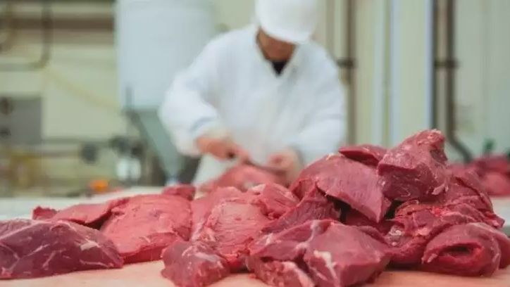 Mieszkańcy Kujaw i Pomorza jedli w 2024 roku miesięcznie po 4,95 kg mięsa, w tym 2,86 kg surowego, 1,53 kg drobiu i 1,86 kg wędlin i przetworów mięsnych.