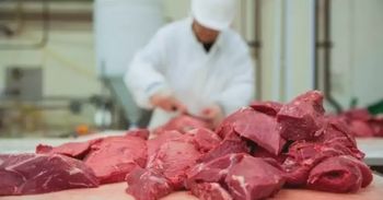 Prawie 5 kg mięsa miesięcznie. Tak jedzą mieszkańcy Kujaw i Pomorza