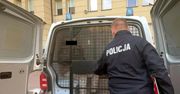Pijany kierowca uciekł z miejsca kolizji. Pomylił drogę i wjechał pod drzwi komendy