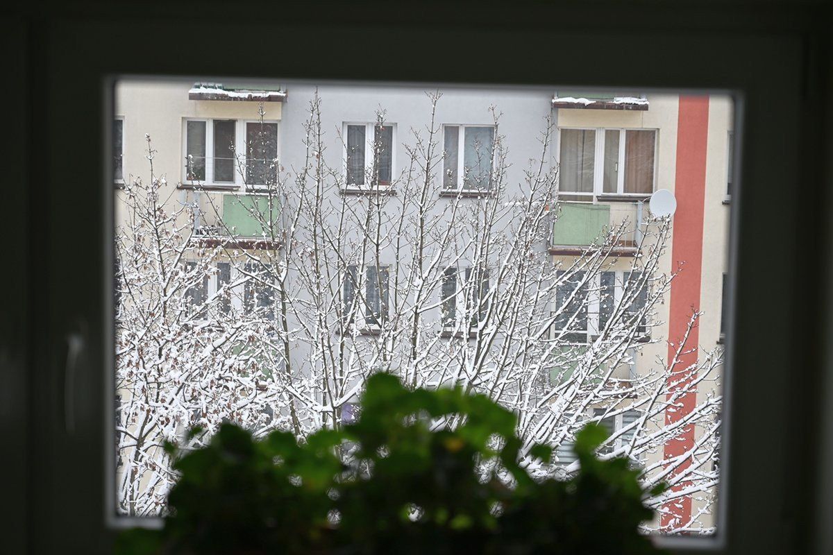 Mokry śnieg pokazał piękno wczesnej zimy