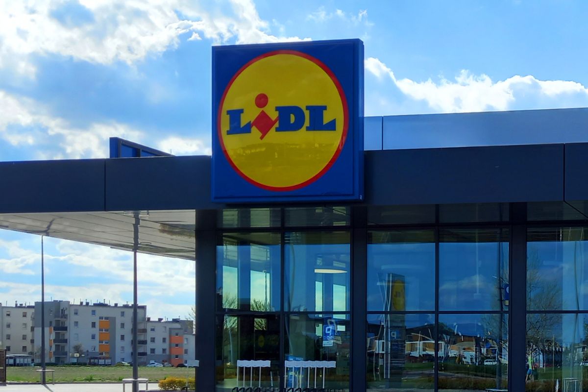 Od 22 maja w Lidlu. To nie pomyłka. Tylko 3 szt. w promocji