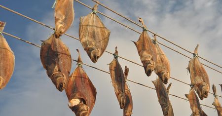 Rybki suszę na balkonie, a sąsiad przez kilka dni kręci nosem