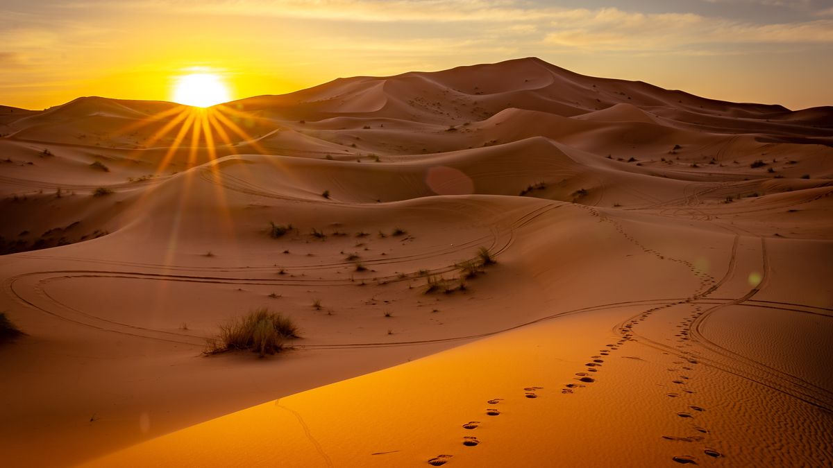 Pustynia Sahara zmieni się nie do poznania. Badacze prognozują