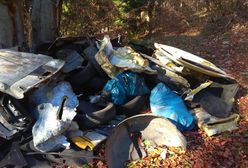 Nowa Ruda. Zamienili las w stertę śmieci. Wójt prosi o pomoc