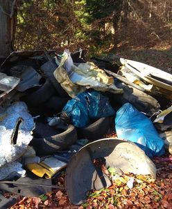 Nowa Ruda. Zamienili las w stertę śmieci. Wójt prosi o pomoc