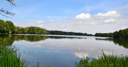 Wędkarze znaleźli ciało kobiety w Zalewie Kieleckim
