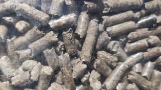 Ostróda: Okazja na pellet okazała się oszustwem. Strata 5 tys. zł