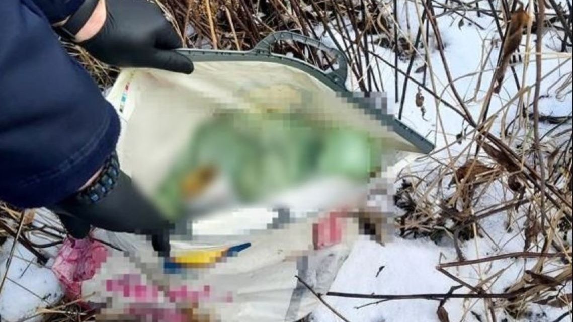 32-latek zabił psa i wyniósł go w reklamówce 