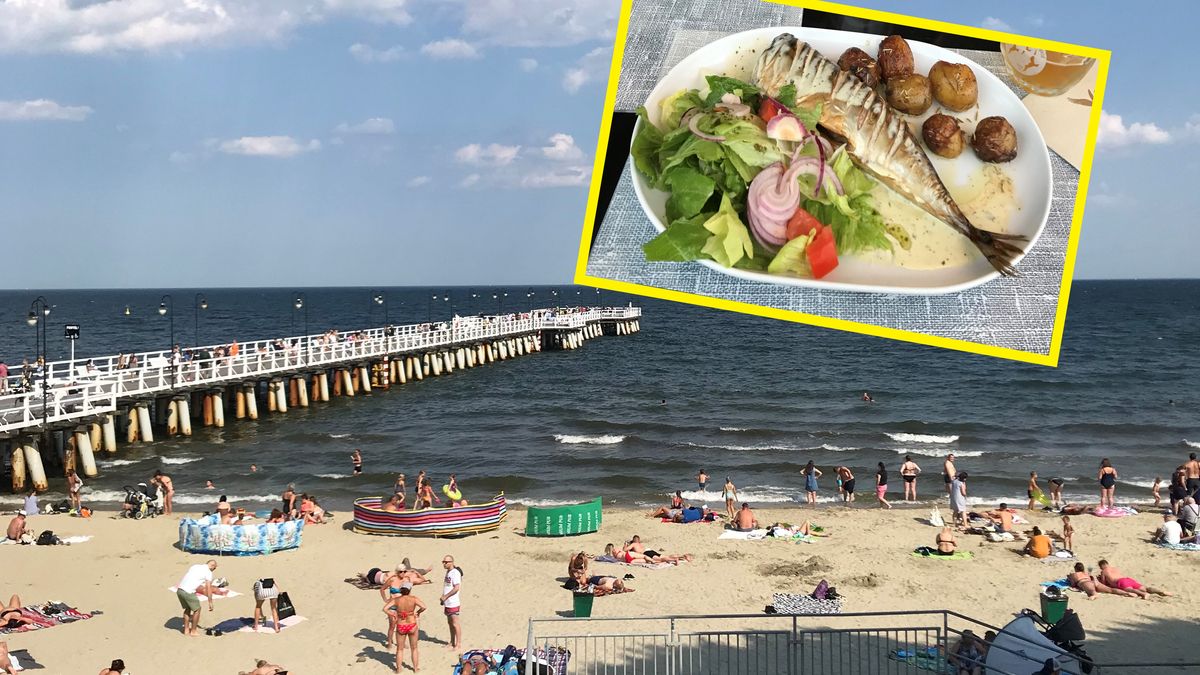 Zdjęcie ilustracyjne.