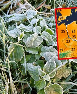 Jaka temperatura w "zimną Zośkę"? Synoptycy jasno