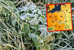 Jaka temperatura w "zimną Zośkę"? Synoptycy jasno