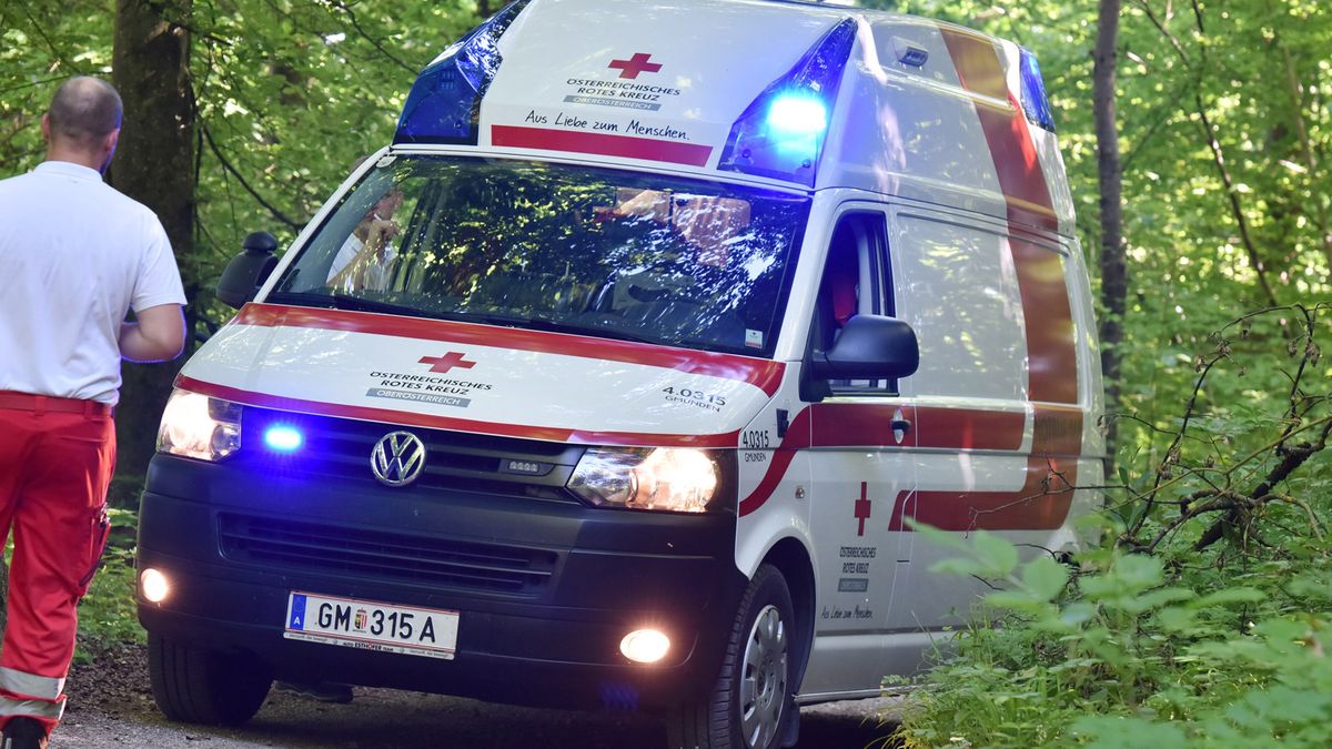 Red Cross
A red cross ambulance with blue lights in a wood, Austria, Europe
Spitzt-Foto