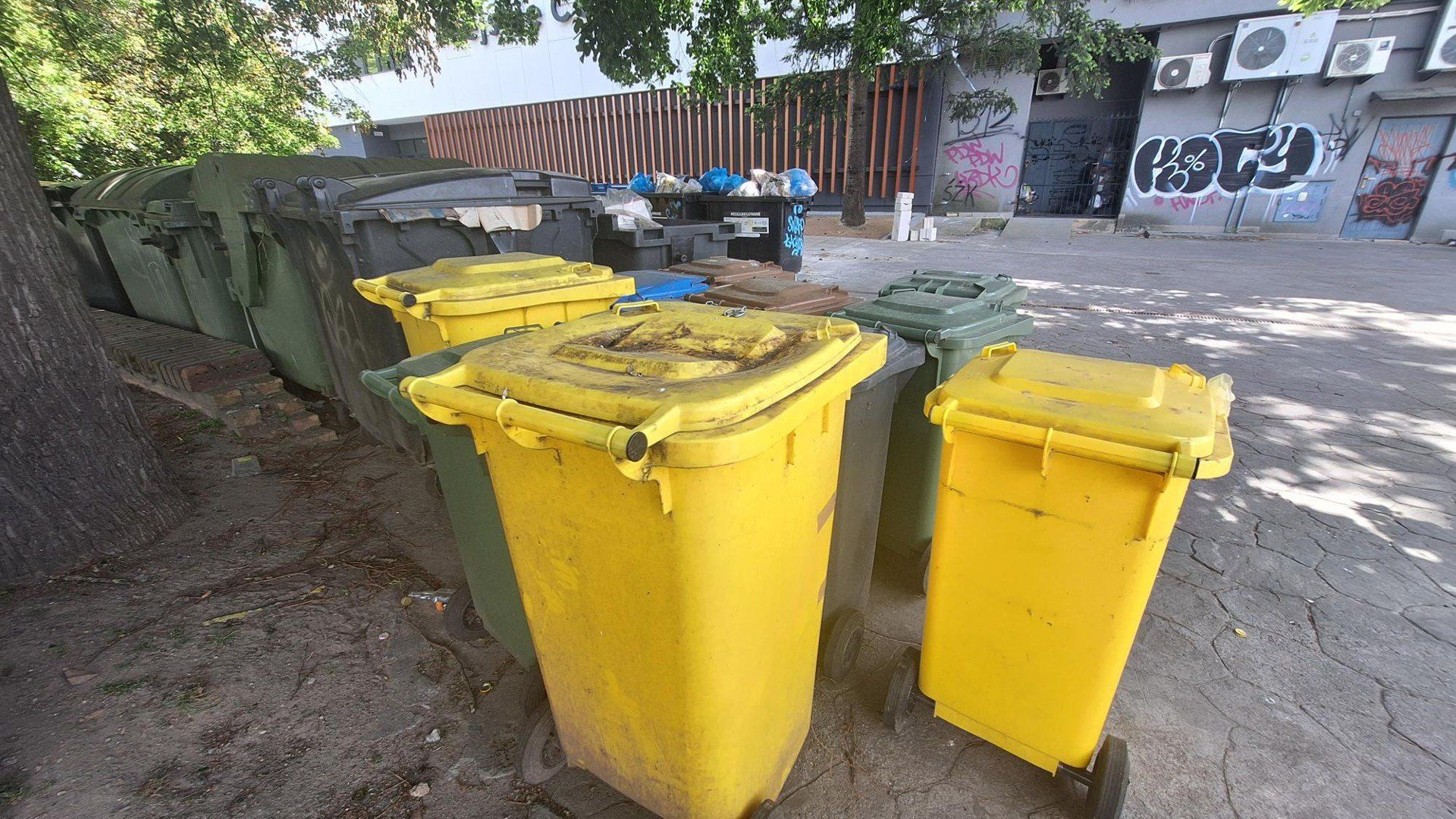 Ten widok może „rozsławić” Gorzów na całą Polskę. Trzydzieści mniejszych i większych śmietników stoi zaledwie kilka kroków od Miejskiego Centrum Kultury.