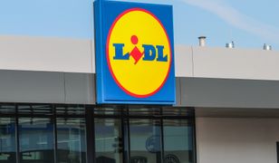 Lidl rozdaje piwo. Już od piątku 8 butelek kupimy w cenie 4