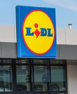 Lidl rozdaje piwo. Już od piątku 8 butelek kupimy w cenie 4