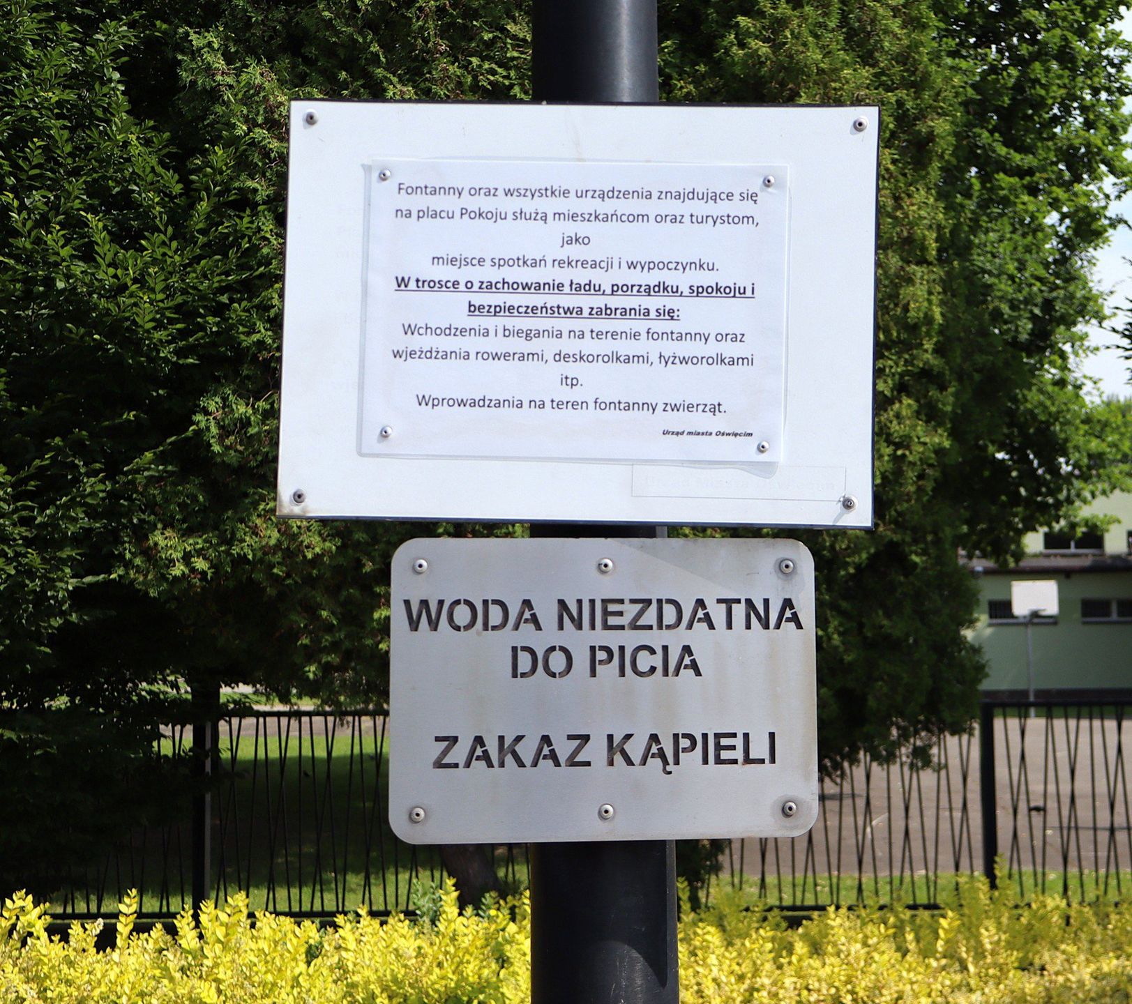 Mimo tablic informujących o zakazie kąpieli w fontannie, służyła jako kąpielisko dla najmłodszych