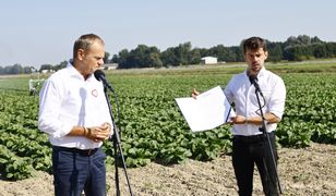 Kołodziejczak pojedzie do Brukseli. "Będziemy bronić rolnictwa"