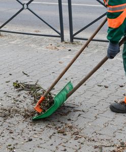 3 promile na godzinę. Pijana ekipa porządkowa zamiatała ulicę