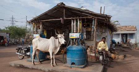 Biopaliwa w Indiach: miliardowe oszczędności kontra ryzyko kryzysu żywnościowego