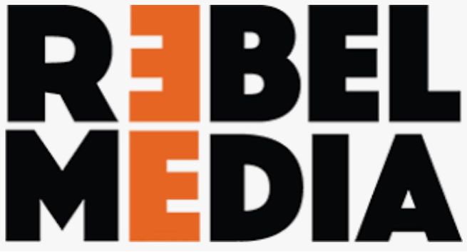Rebel Media urosła o połowę, prawie 5 mln zł zysku netto