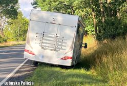 Zuchwała kradzież kampera. Złodziej próbował uciec pieszo przed policją