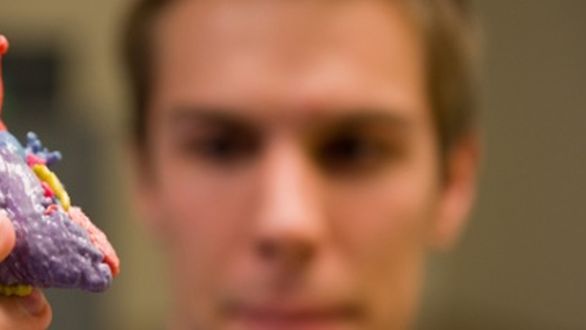 Już za 10 lat wydrukujemy działające serce? 1