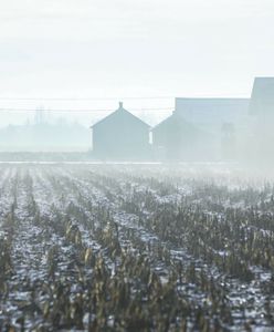 Sensacja na Mazurach. Syn rolnika znalazł skarb