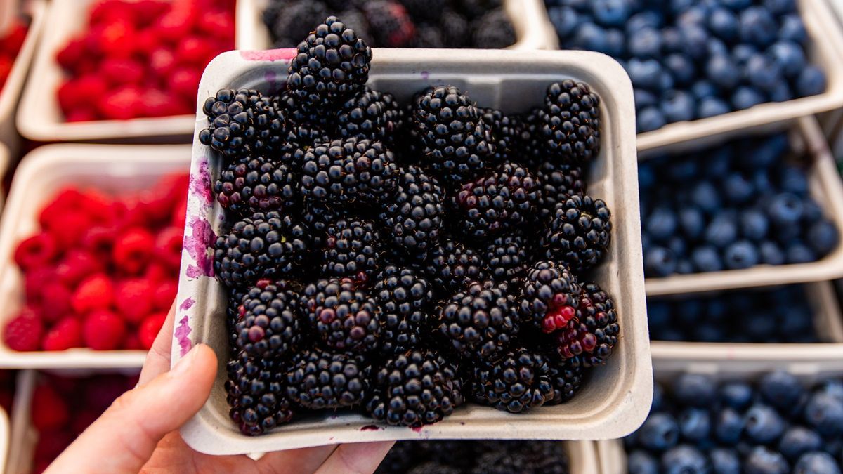 Zdjęcie ilustracyjne. 