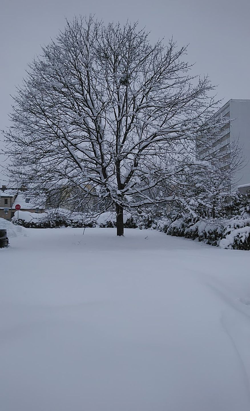 Opady śniegu na Podlasiu