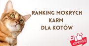 Najlepsza mokra karma dla kota 2026. Ranking karm, które warto znać