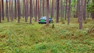 Nie podjeżdżaj samochodem pod same grzyby. Apel leśników z Gostynina