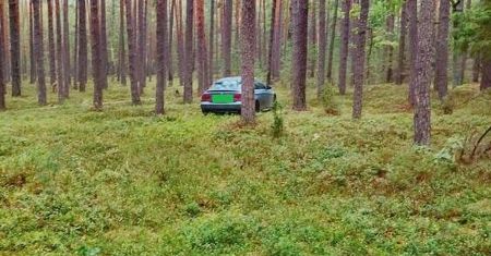 Nie podjeżdżaj samochodem pod same grzyby. Apel leśników z Gostynina