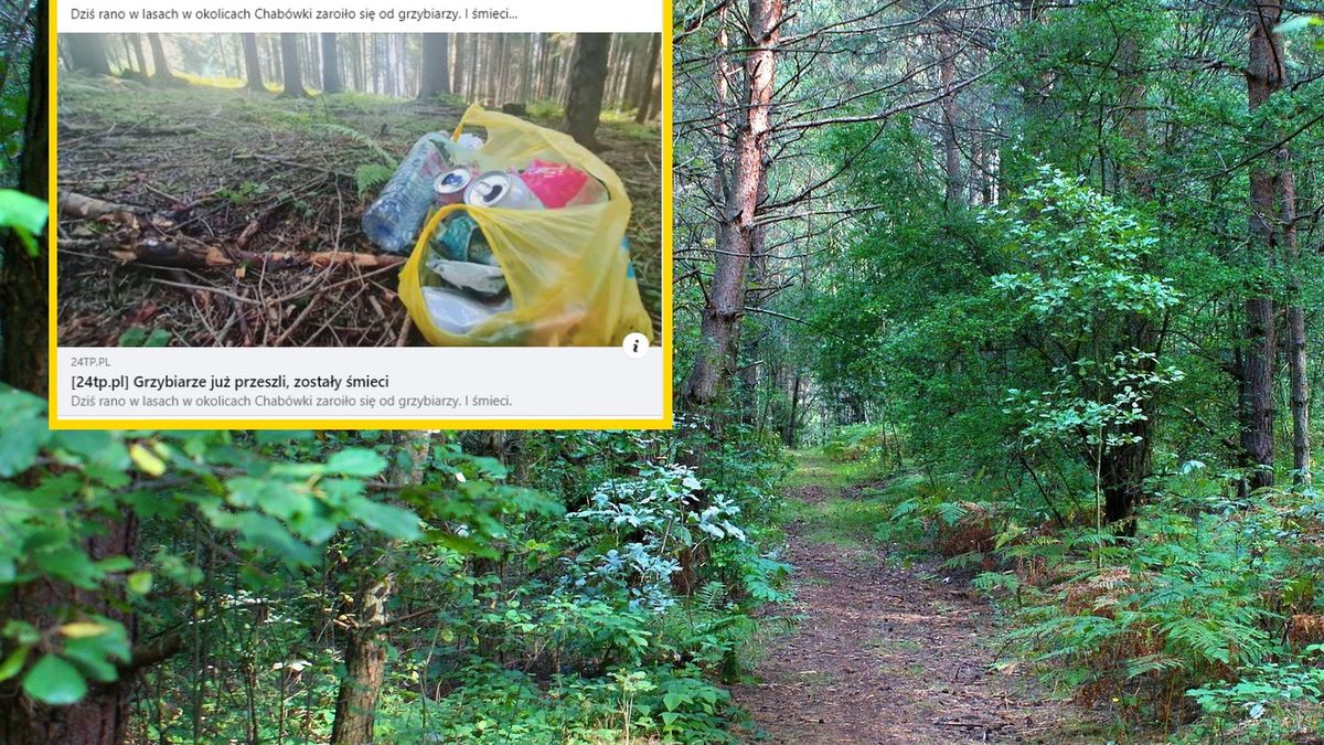 Grzybiarze zostawiają po sobie mnóstwo śmieci 