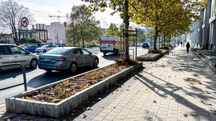 Poznań: Więcej zieleni w centrum. Chłodna i Głogowska mają nowy wygląd